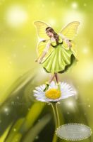 Daisy Fairy